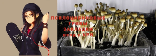 гашиш Касимов