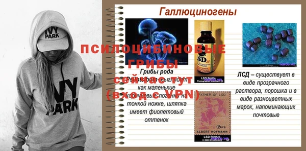 spice Карталы
