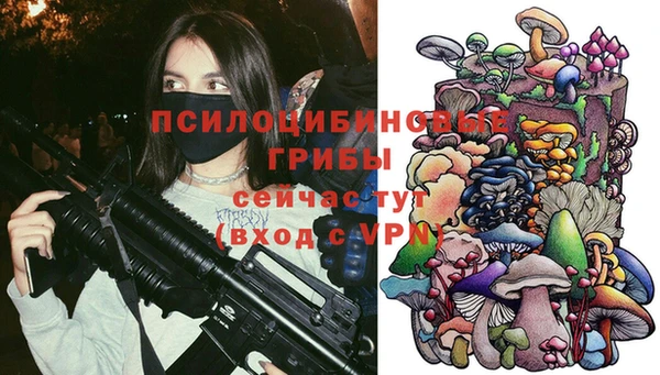 гашиш Касимов