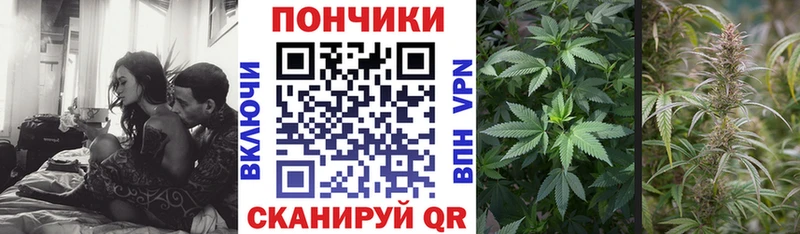 Купить где  Ивантеевка  МАРИХУАНА MAZAR 